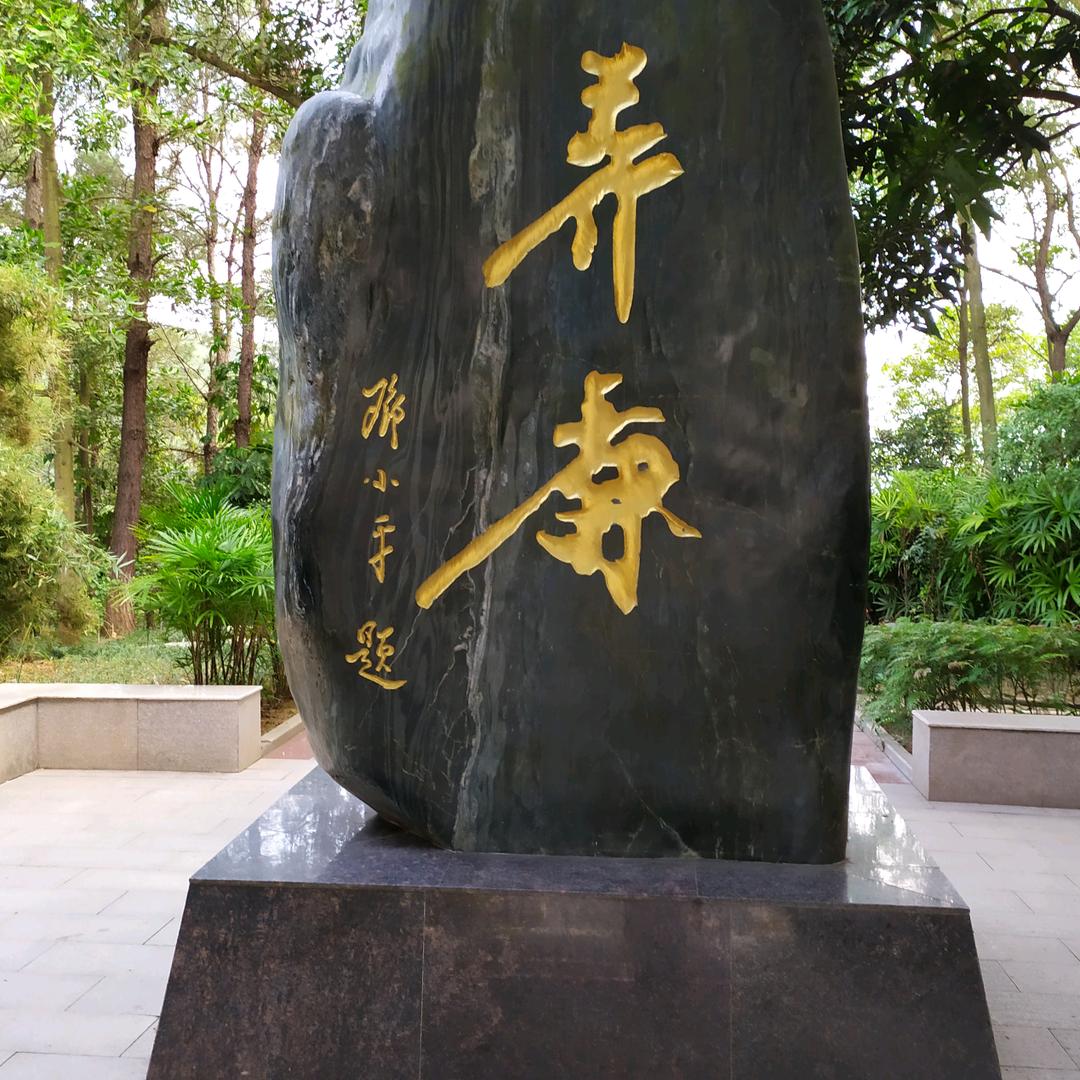 遗憾终是过去