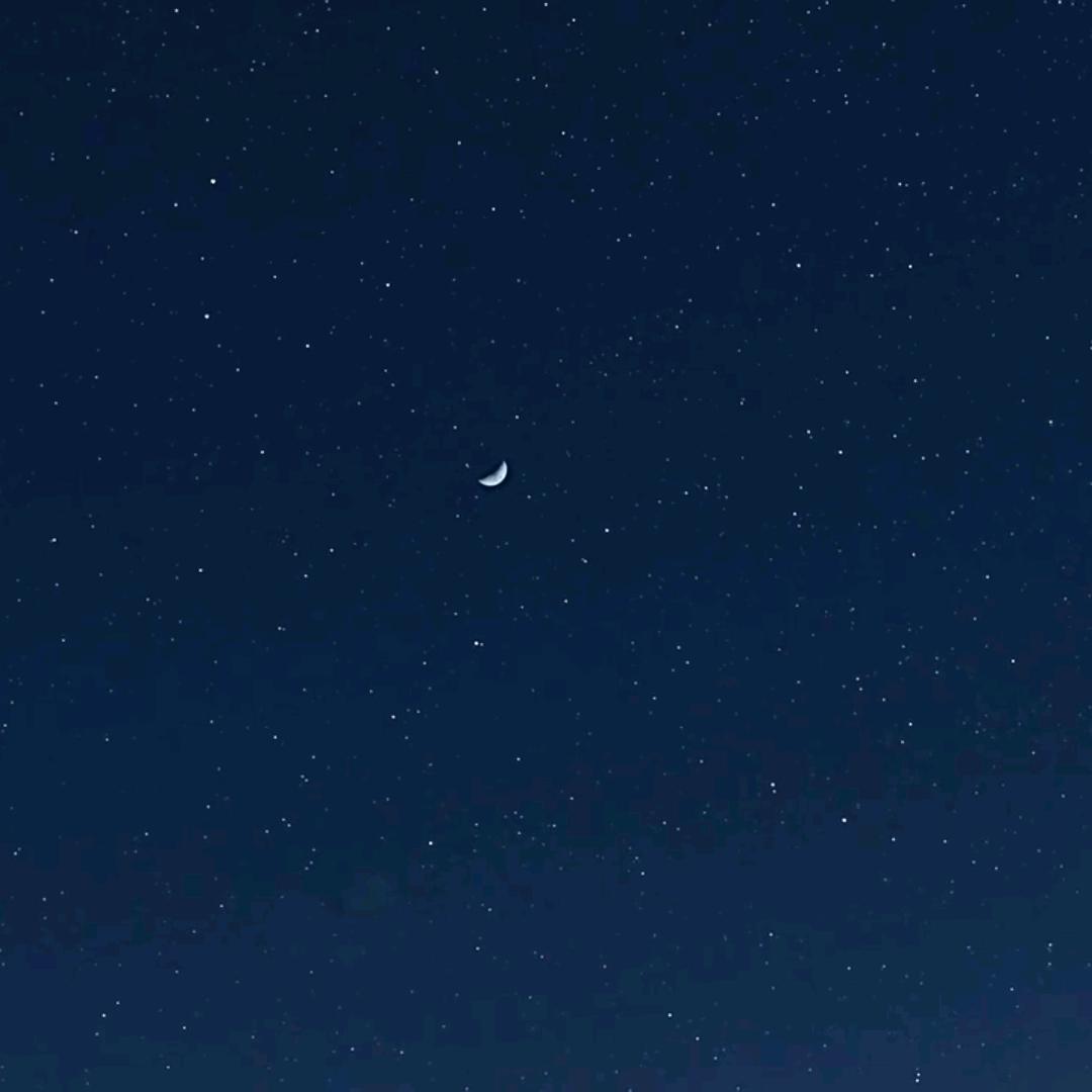 向着太阳迎着光、