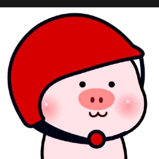 小pig