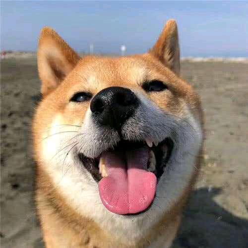 取名字真的很难