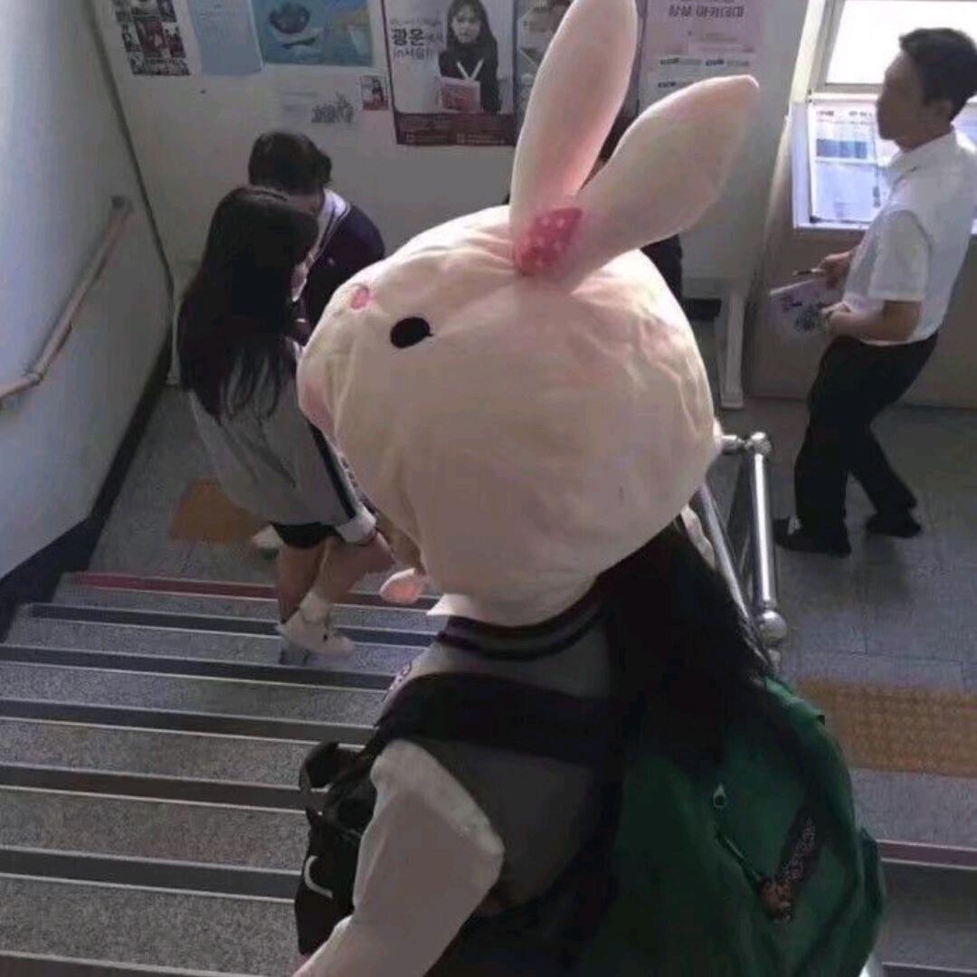 豆花糕糕子
