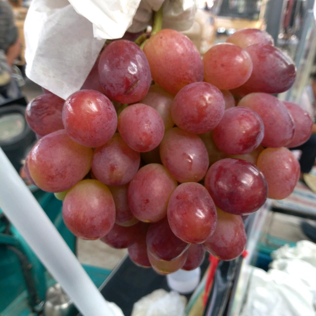 林敏