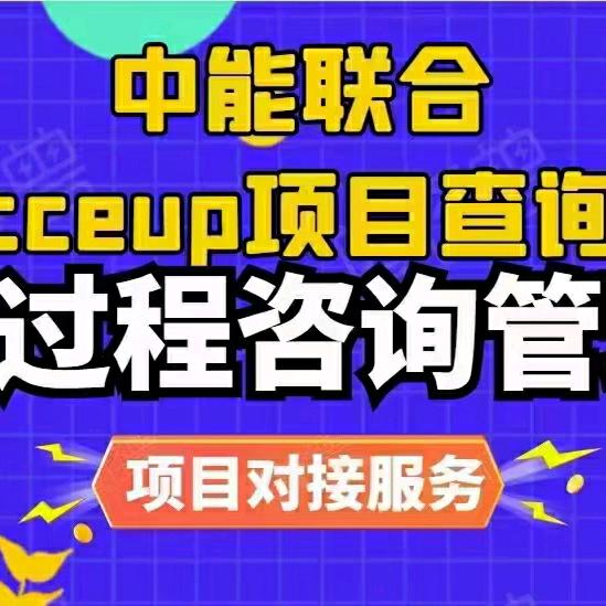 中能联合项目对接