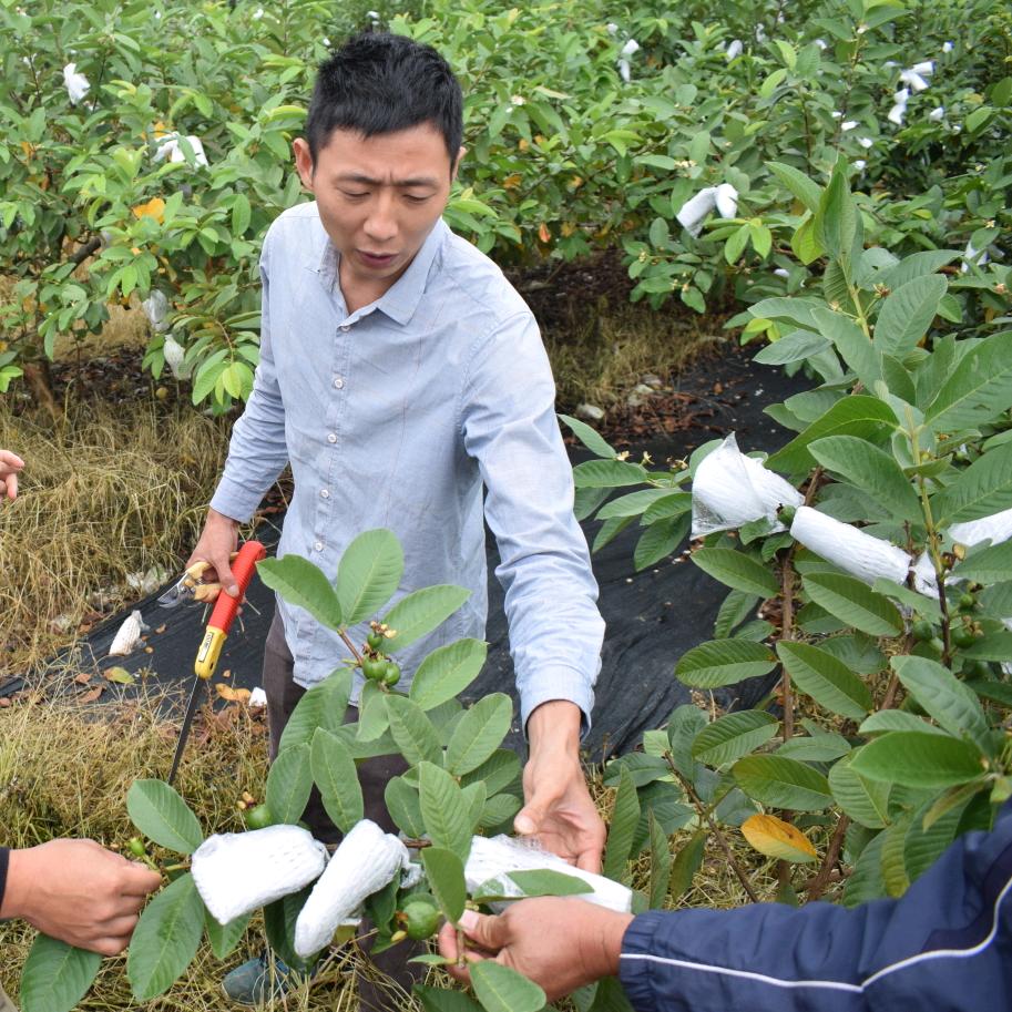 茂名市农哥哥农业科技有限公司