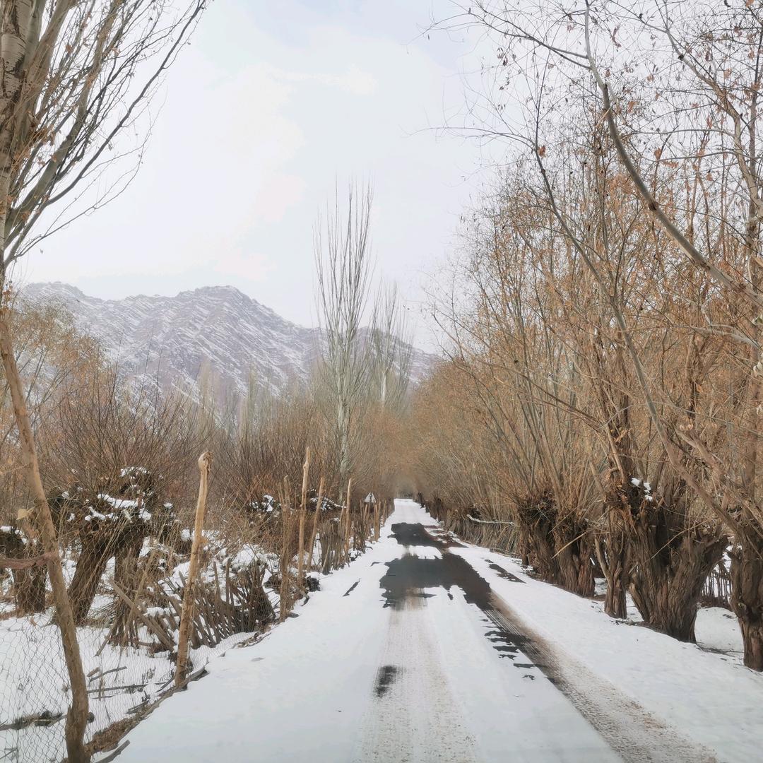 柯坪县李浩～德茂租赁站