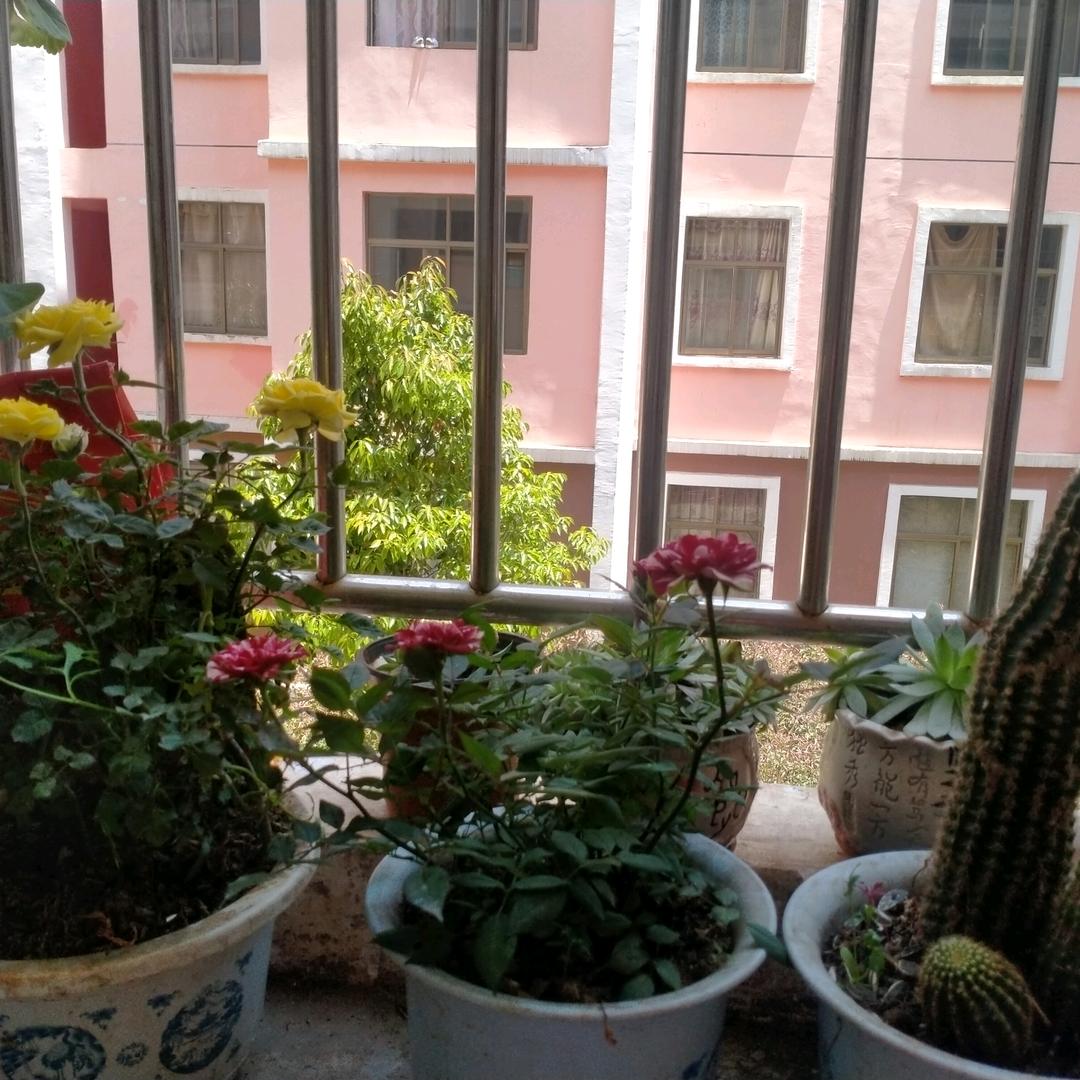 @ঞ💞封心ꦿ锁爱🦋᭄ꦿ💋: