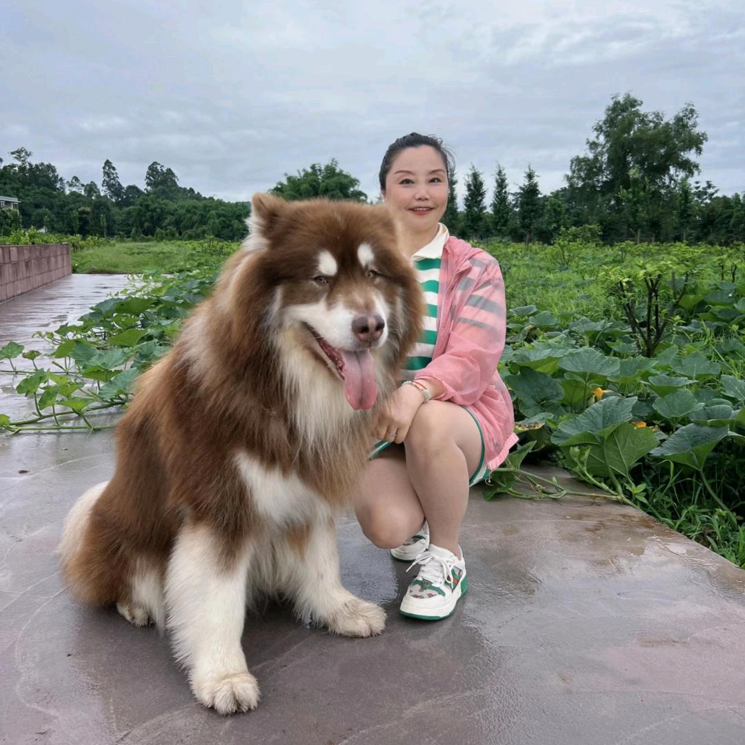 小妖精