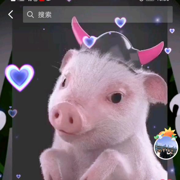 斑点狗狗
