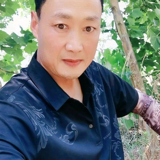 展大侠邳州市福森苗圃场