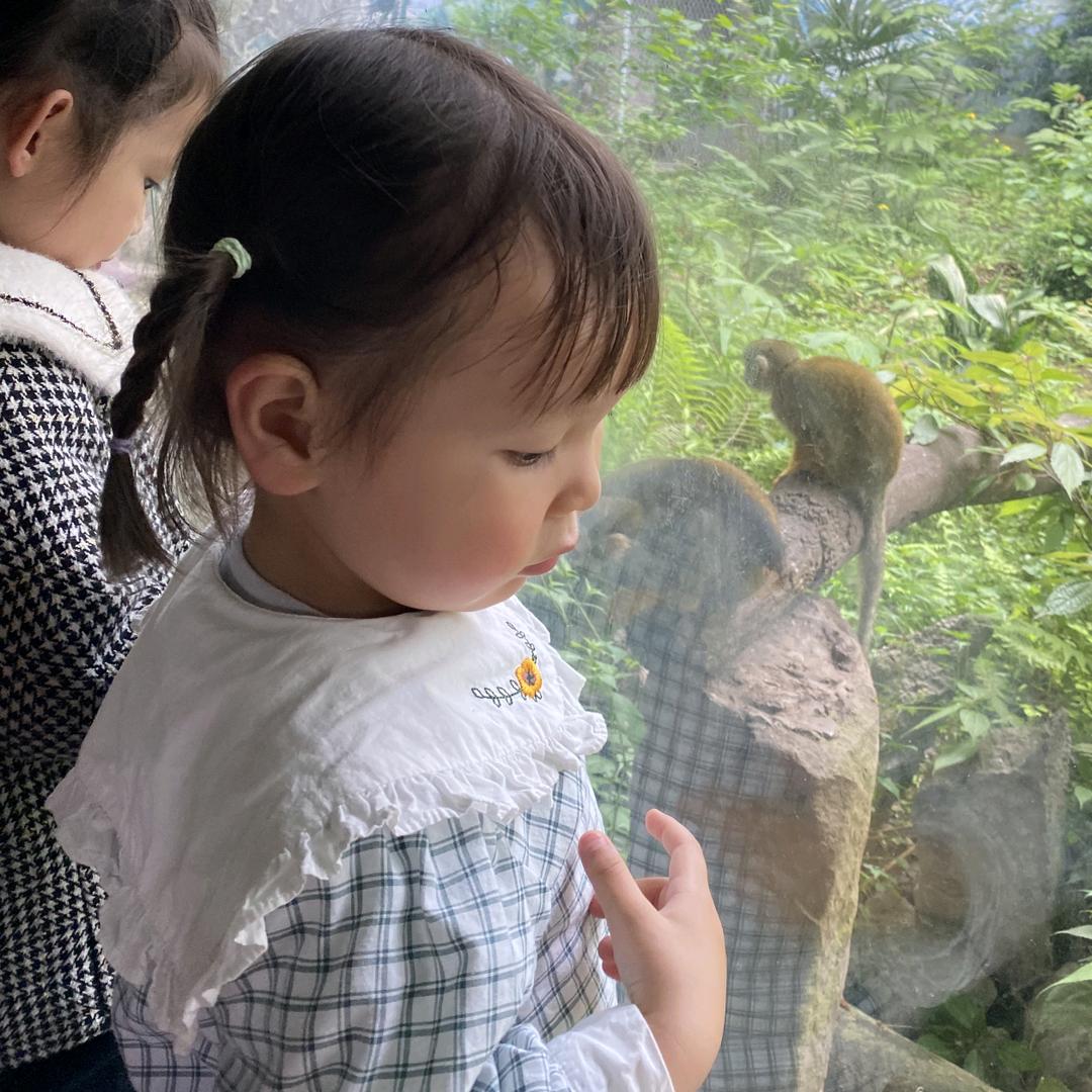 洆洆