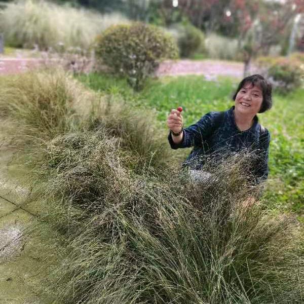 玉石婆婆