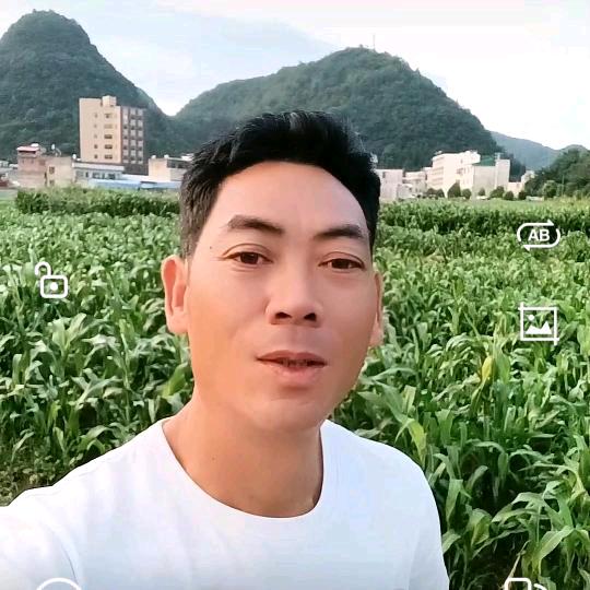 布依哥