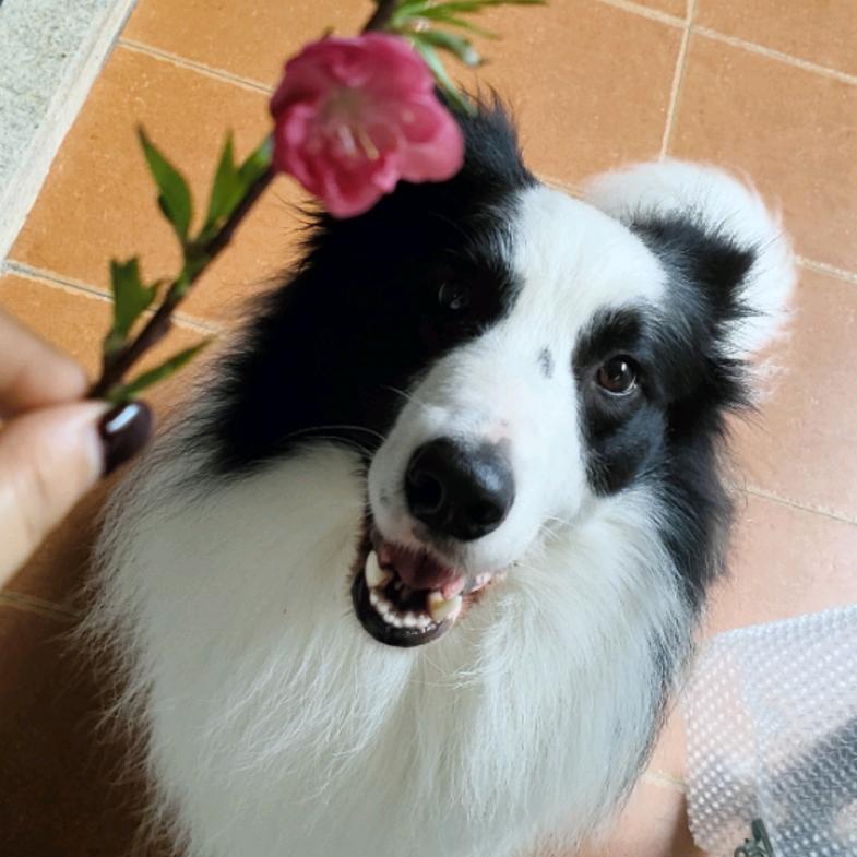 墨墨❤❤