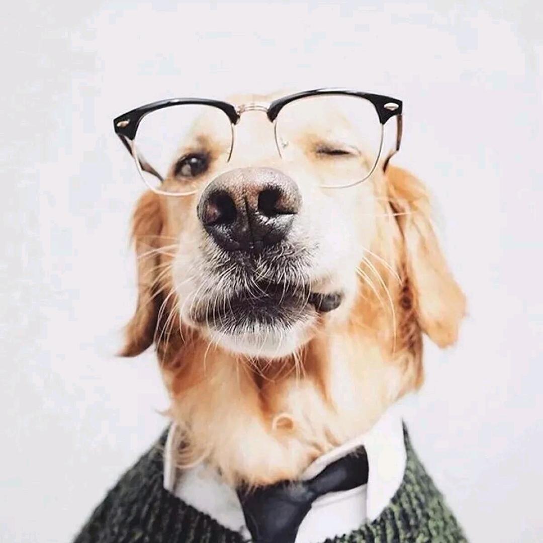 🌈苏南南南南🌈