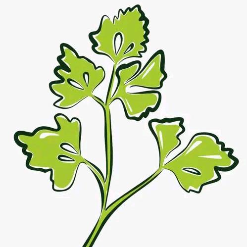我爱种香菜