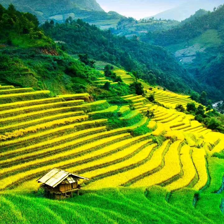 骑摩托的托尼