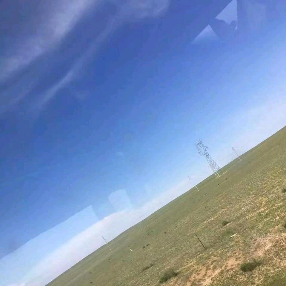 我爱葡萄