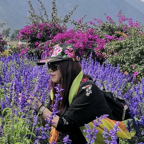 专注品质全屋整装