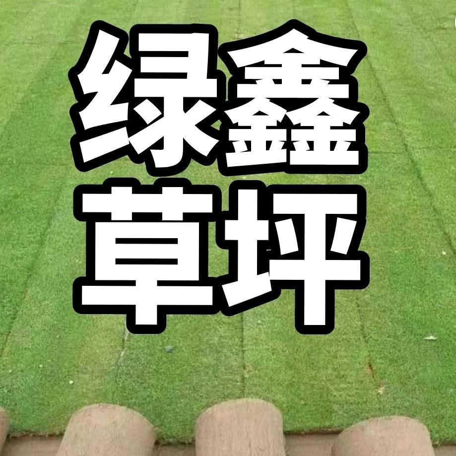 绿鑫草坪全国发货