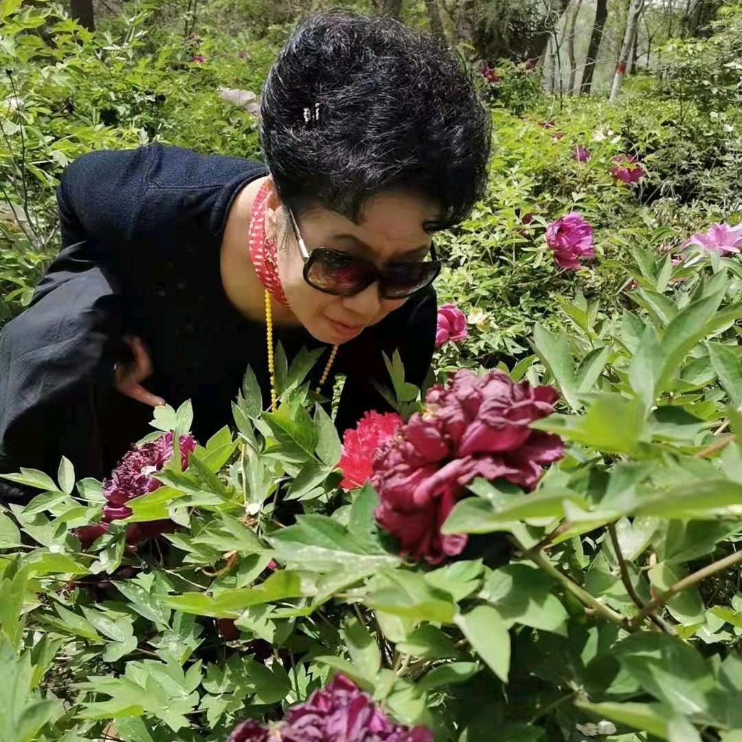 桂花 🌹兰花