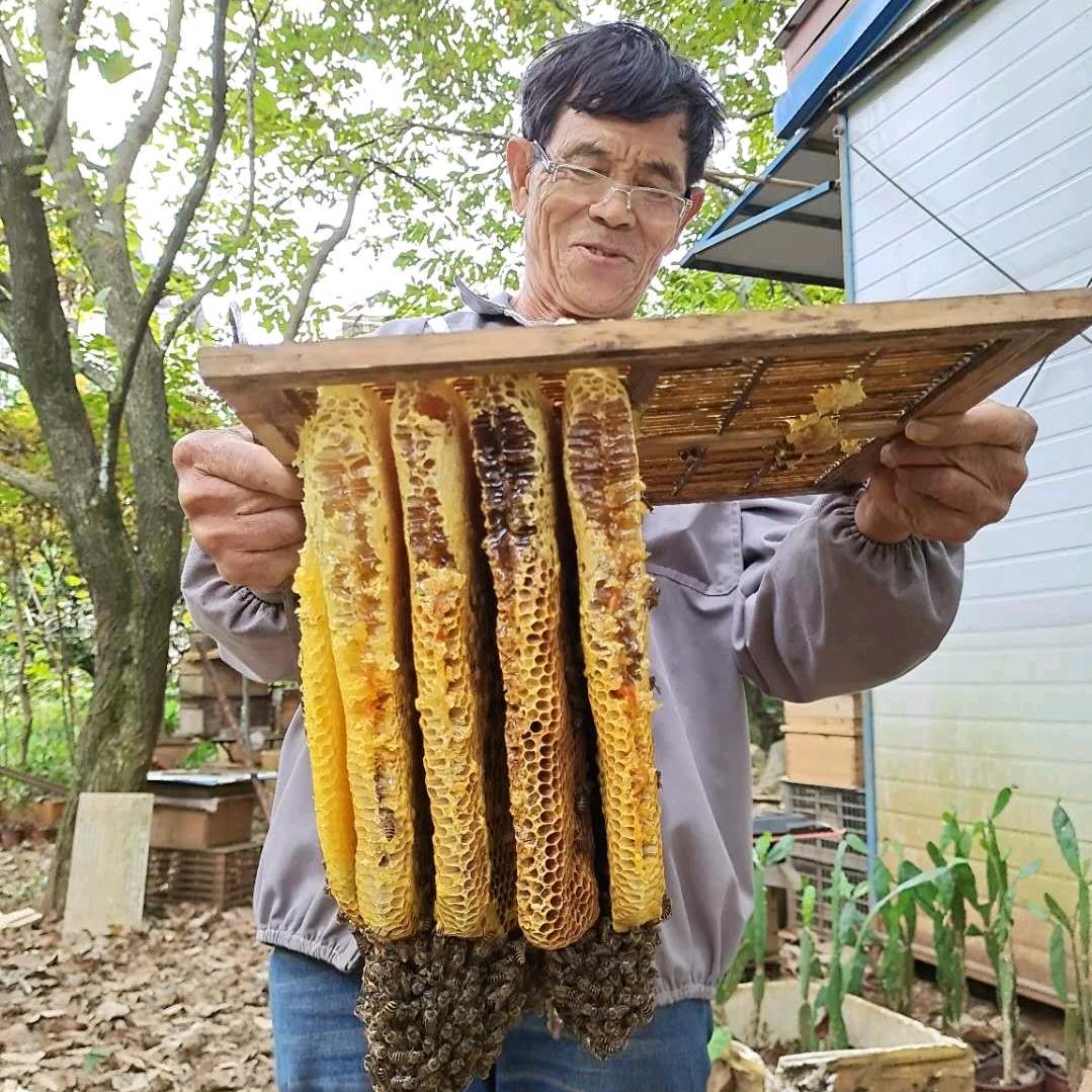 路灯老哥