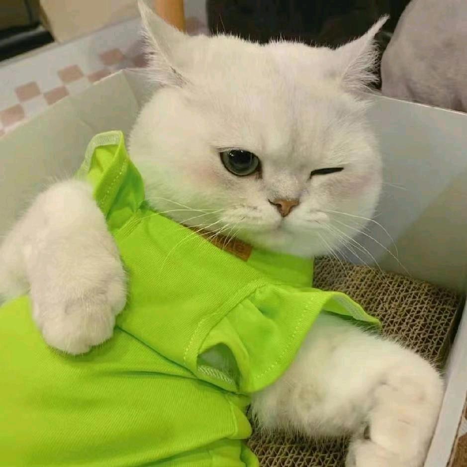 我蟹蟹你