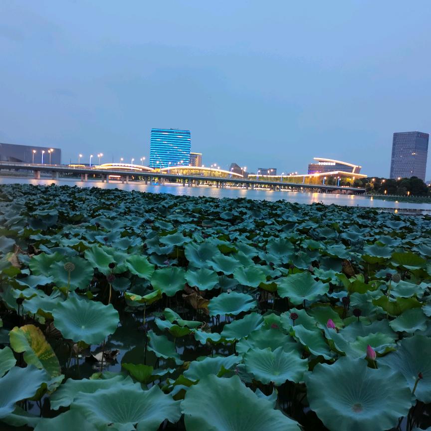 与众不同（明）