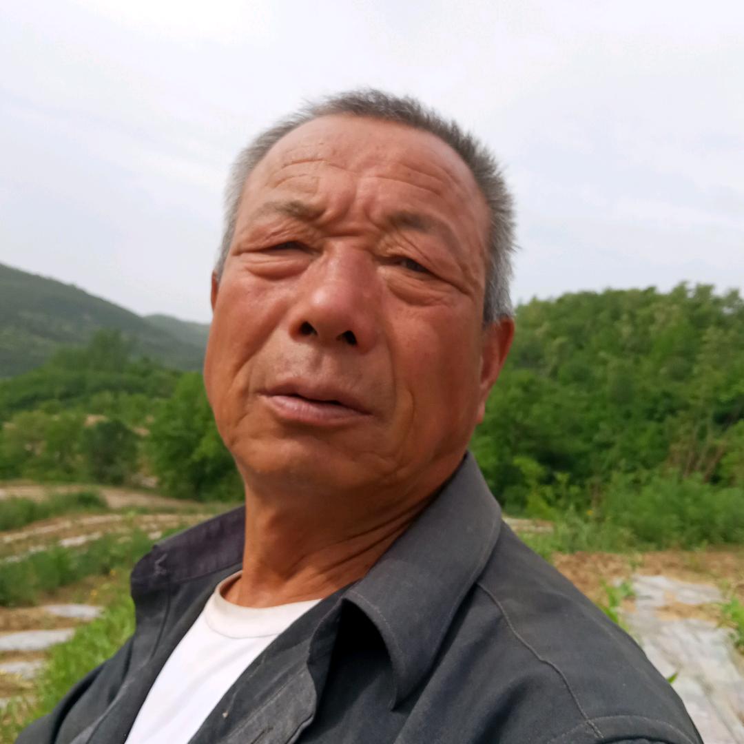 阳光孟林童