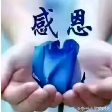 平安是福❤️❤️（拒绝连赞）