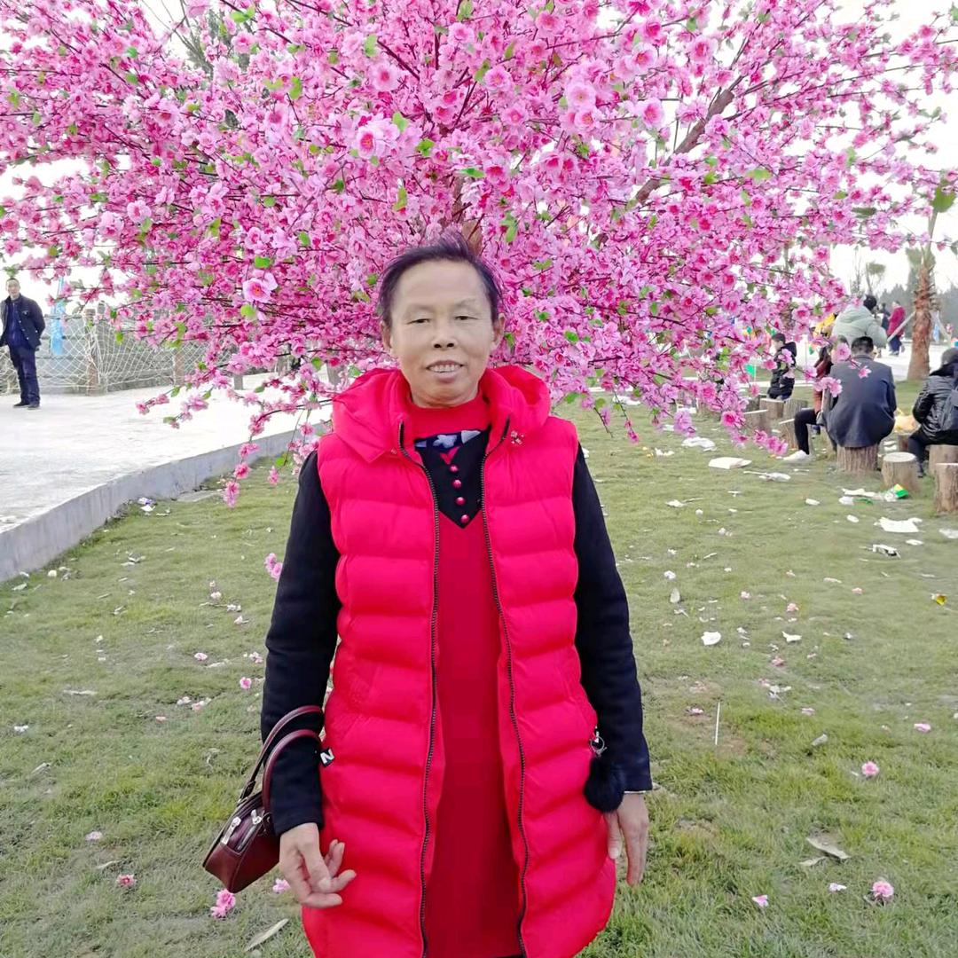 高龙芹