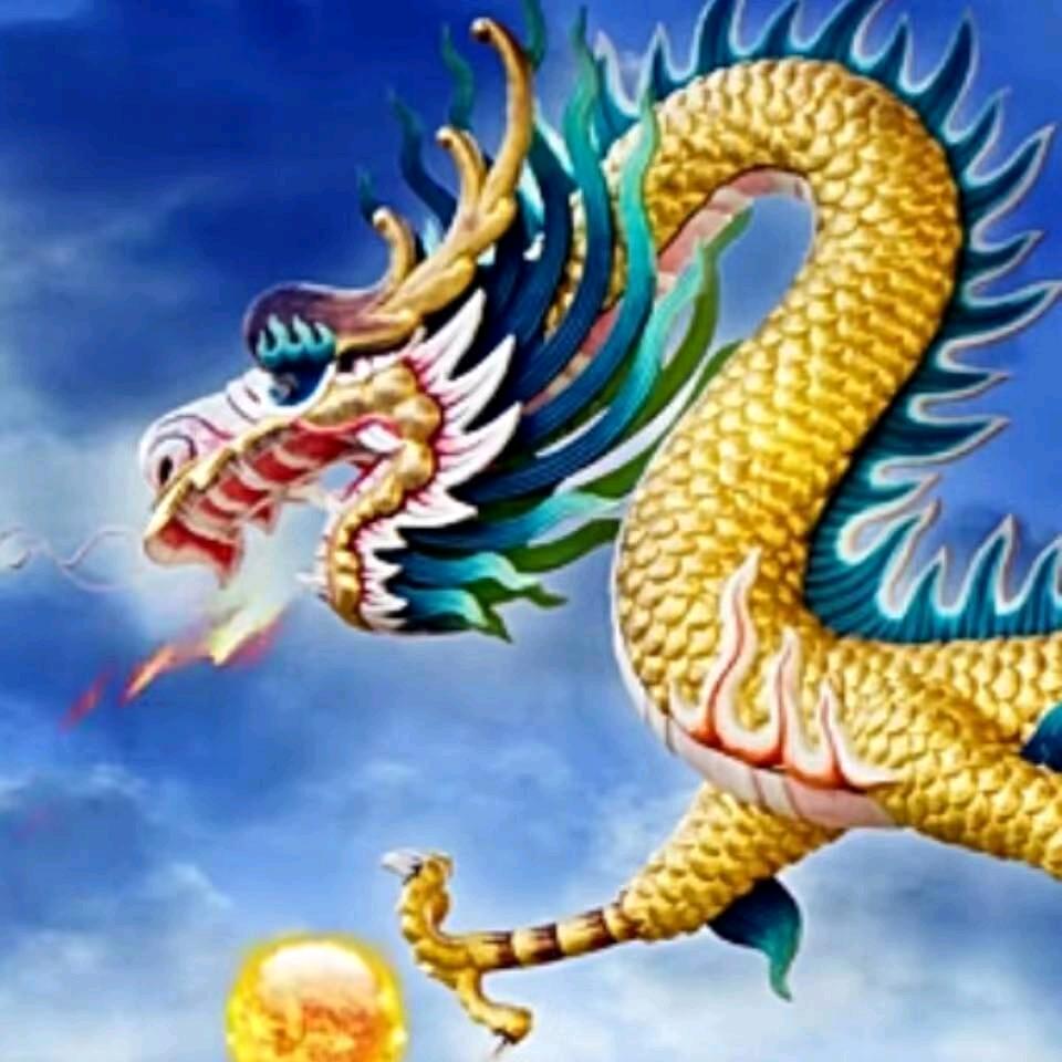 龙飞凤舞