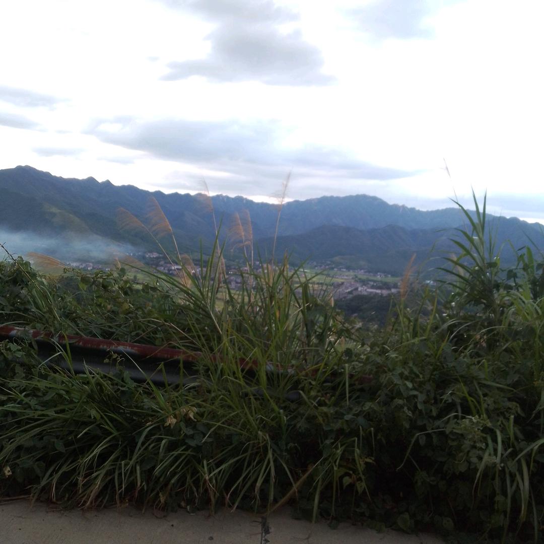 俺是农村哥