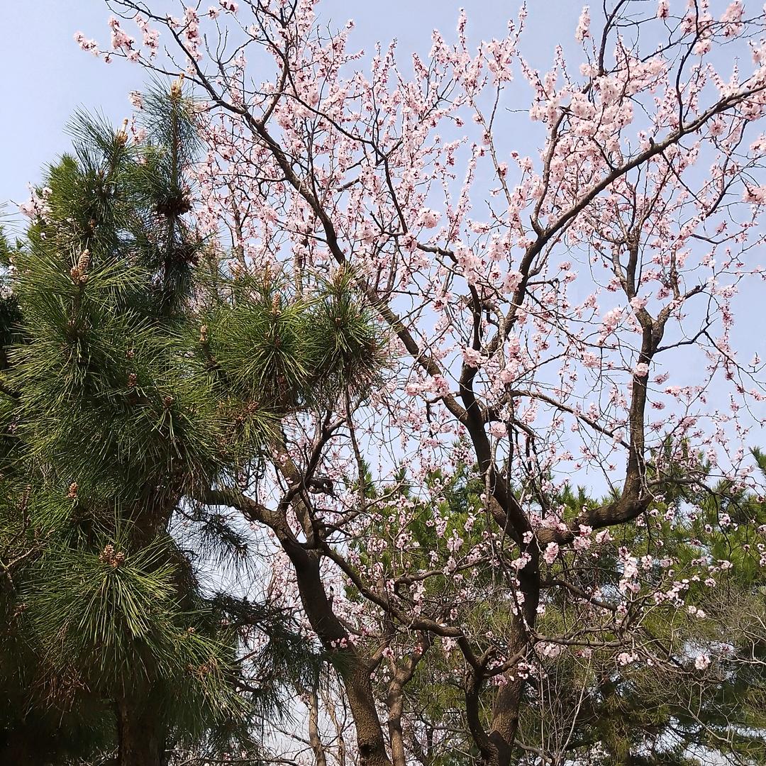 头条