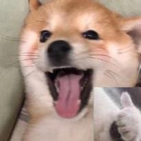 香蕉炒榴莲
