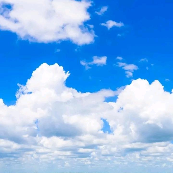 赵雄亚
