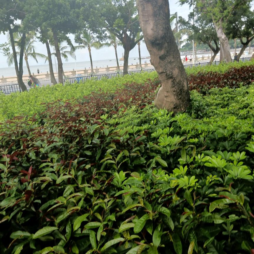 蓝天