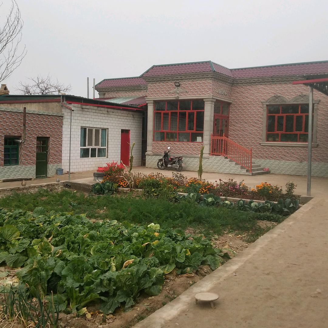 🌹💐🌿孩子眼中的父亲🌴🌷🎋