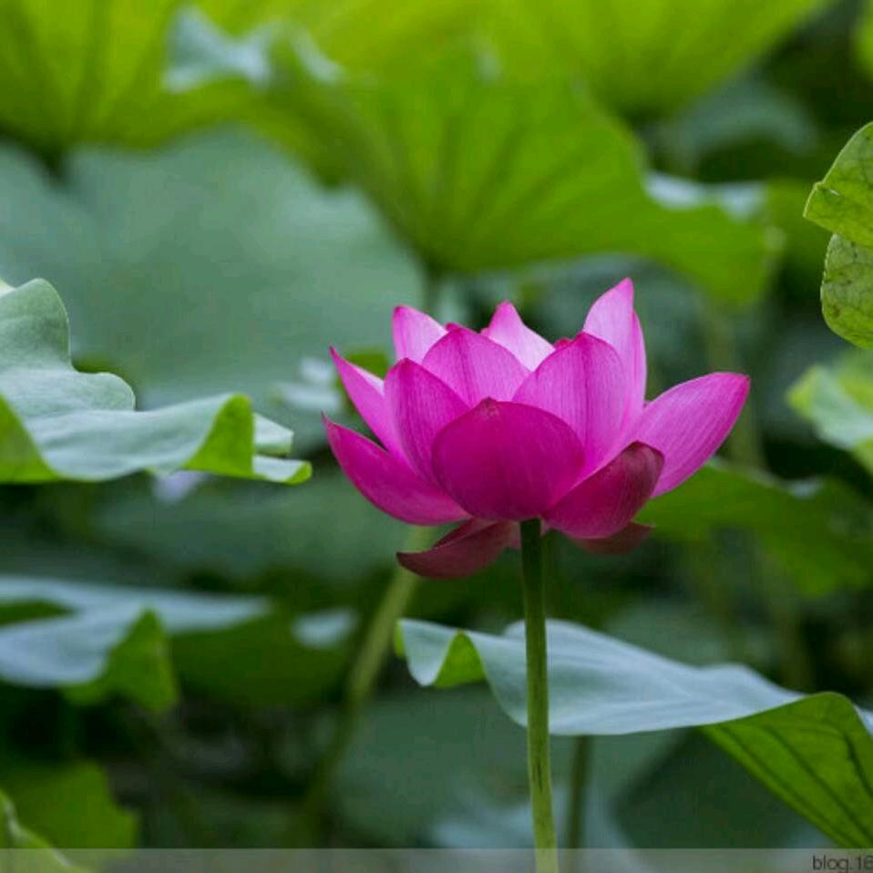 与物为春