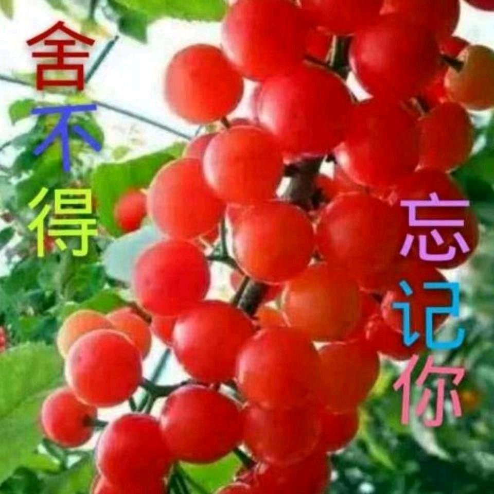 舍不得忘记你6.03