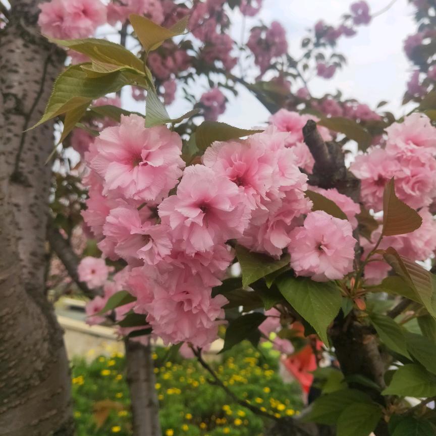 随    ❤️      缘