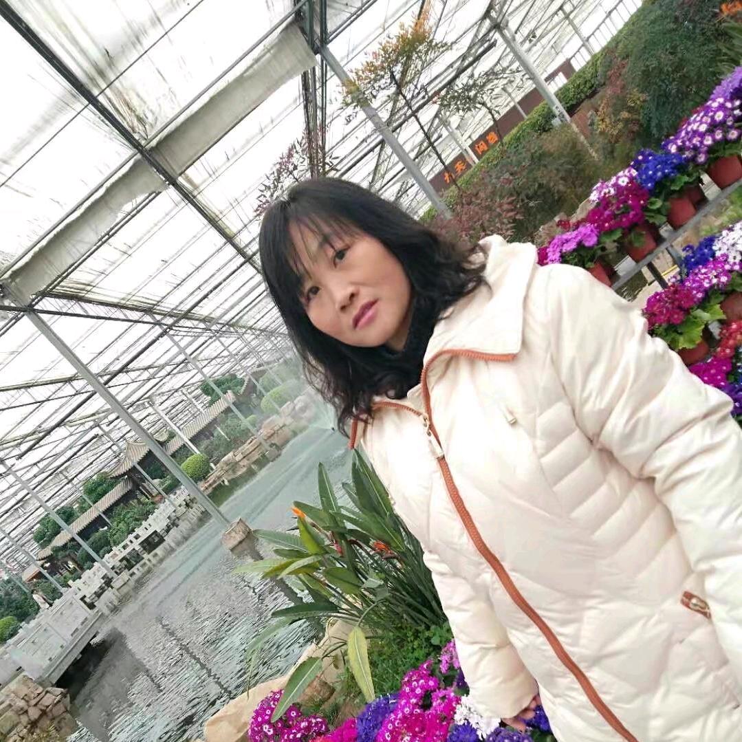 幸福女人小红,《我的日常生活》。