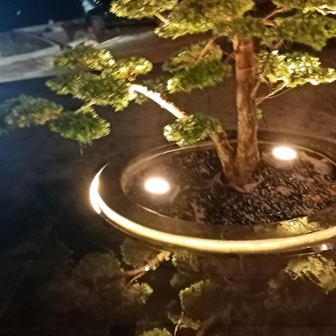 装修师老李