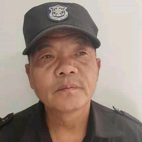 董辛