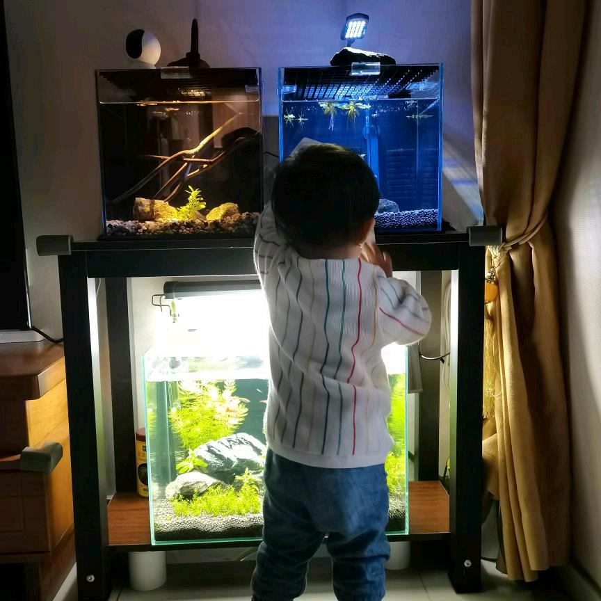 猴识养鱼