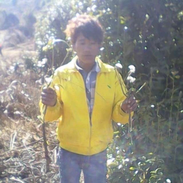 爱你一生一是