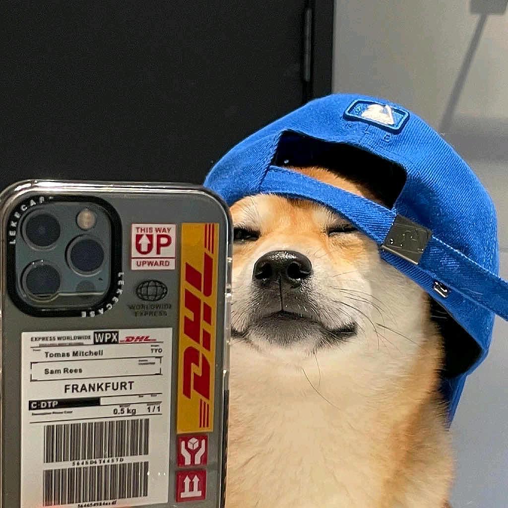 不可歪
