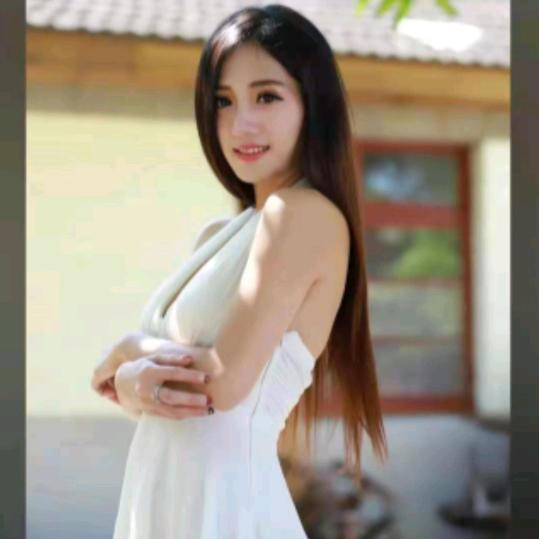 雁南飞