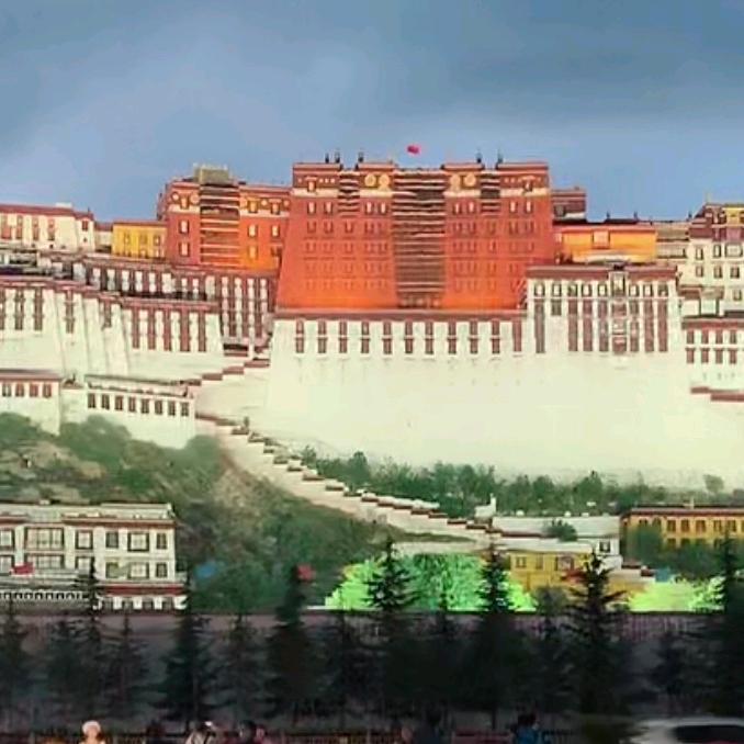 涛哥涛哥