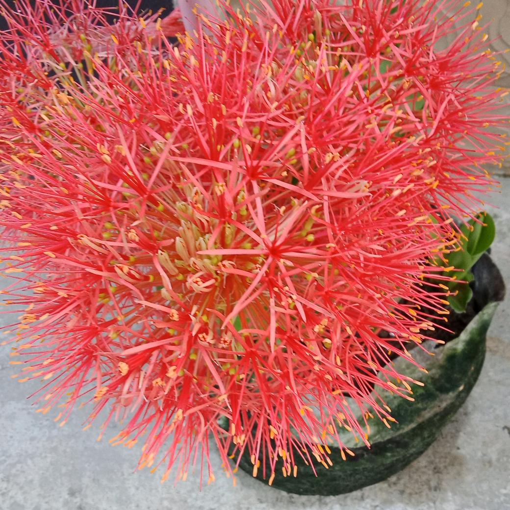 用户3376876241570