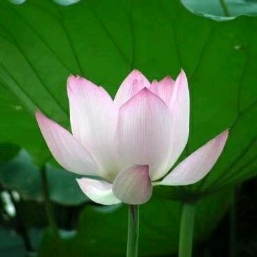 幸 福
